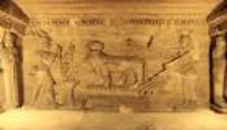 متحف مفتوح في منطقة كوم الشقافة الأثرية قريباً