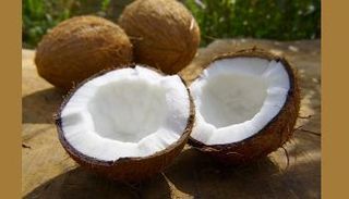 جوز الهند يحتوي على قيمة غذائية عالية