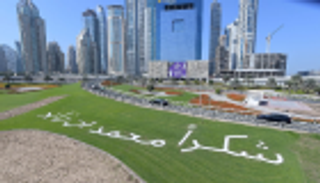 بالصور.. "شكرا محمد بن زايد" تزين شوارع دبي الرئيسية