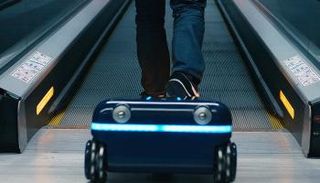 الحقائب تتبع صاحبها أينما ذهب