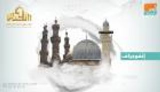 إنفوجراف.. الأزهر وفلسطين.. صفحات من تاريخ مشرف