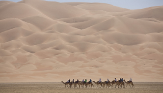 انطلاق رحلة الهجن من صحراء الربع الخالي