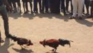 اعتقال "ديكين" في الهند.. والتهمة "سلوك عدواني"