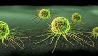 خلايا سرطانية