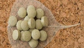 خميرة الخبز تساعد على زيادة الوزن