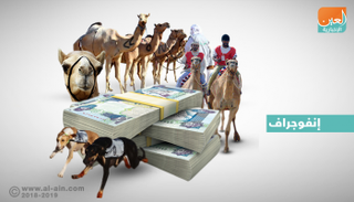 5 مسابقات في مهرجان سلطان بن زايد التراثي