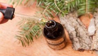  زيت الصنوبر - صورة أرشيفية