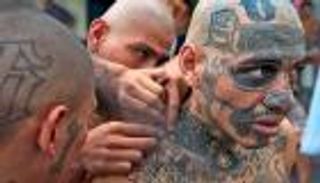 قطر تستعد لاستقبال "أخطر عصابة" باسم عمالة خلال عام