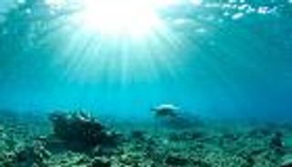 تحذير.. درجة حرارة المحيطات سجلت معدلات قياسية في ٢٠١٧