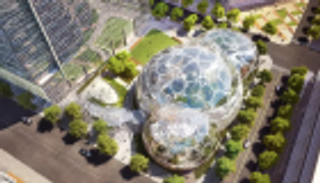 "أمازون" تسعد موظفيها بغابات مطيرة مصغرة لراحتهم