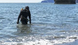 فريق إنقاذ متعدد الجنسيات للبحث عن ناجين-أرشيفية