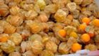 ثمرة "الحرنكش" تعود إلى المتاجر الأمريكية بفضل تعديل الجينات