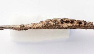 عمرها يعود لأكثر من 90 ألف عام 