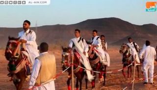 "العين الإخبارية" داخل مهرجان الفروسية بجنوب ليبيا