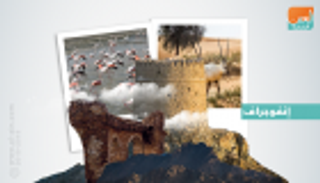 إنفوجراف.. المحميات الطبيعية في دبي‎.. حماية للتوازن الفطري