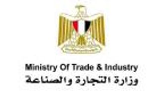 مصر تدرس إنشاء مدينة صناعية متكاملة للمنتجات المعدنية