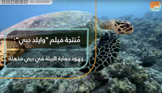 منتجة فيلم "وايلد دبي": جهود حماية البيئة في دبي مذهلة