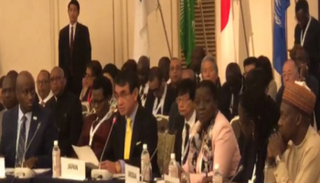 وزير الخارجية الياباني خلال قمة تيكاد
