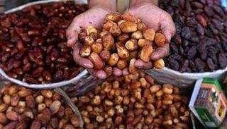 سيوة تستعد لمهرجان التمور - صورة أرشيفية