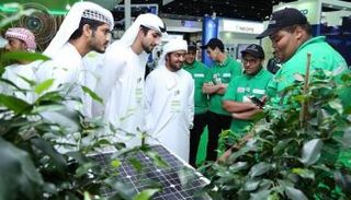 قطاع الطاقة المتجددة يوفر 10,3 مليون وظيفة على مستوى العالم