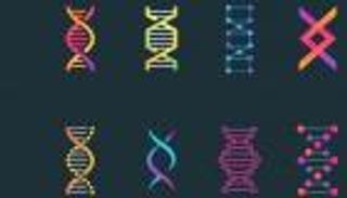 اكتشاف تحول جيني يساعد في علاج أمراض السكري والقلب