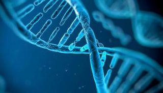 ولادة فئران دون أب بعد استخدام الخلايا الجذعية وتقنيات التعديل الجيني