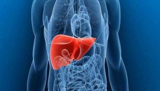 المؤتمر ناقش تطورات مرض التهاب الكبد الدهني غير الكحولي