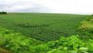 أبوظبي تستضيف المعرض الدولي للاستثمارات الزراعية في الخارج 