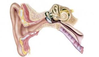 بشائر لعلاج نهائي للصمم