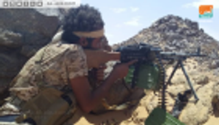 ألوية العمالقة تطهر عدة مزارع من مليشيا الحوثي بالحديدة اليمنية