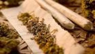 ارتفاع حوادث السيارات بولايات أمريكية شرعت الماريجوانا