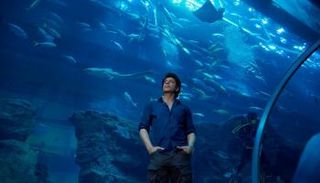 النجم الهندي شاروخان خلال إحدى زيارته إلى دبي - صورة أرشيفية