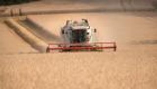 سوريا تشتري 200 ألف طن من القمح الروسي في مناقصة