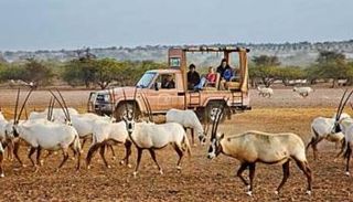 حملات توعية تتصدى للمخالفات البيئية في المحميات الطبيعية بالشارقة 