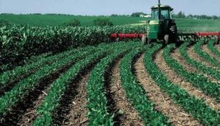 قطاع الزراعة يدعم الناتج المحلي للجزائر