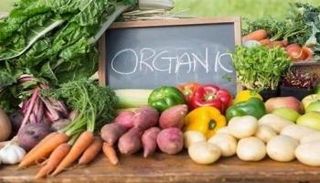 خلاف حول تقليص الأغذية العضوية لخطر الإصابة بالسرطان - صورة أرشيفية