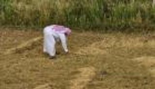 قرار سعودي يوفر للمملكة 8 مليارات متر مكعب من المياه سنويا