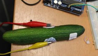 الجهاز يختبر نسبة المياه في ثمرة الخيار