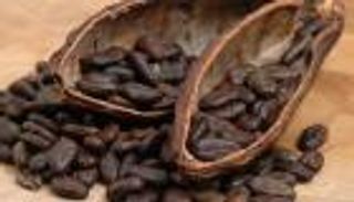 باحثون يتوصلون إلى استخدام الكاكاو منذ 5 آلاف سنة