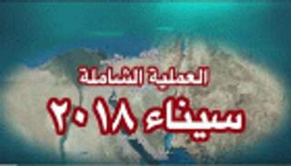 الجيش المصري يقتل 18 إرهابيا ويدمر 25 عربة في مداهمات بسيناء