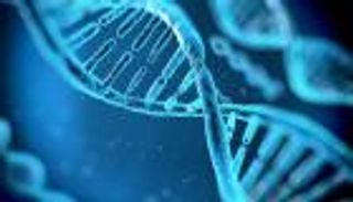 مشروع لرسم الخرائط الجينية لجميع أشكال الحياة المعقدة على الأرض