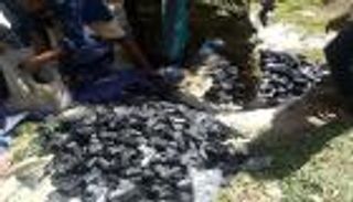 إثيوبيا تحبط ثاني محاولة لتهريب أسلحة تركية خلال أسبوع