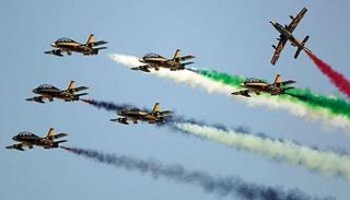 فرسان الإمارات