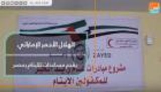 الهلال الأحمر الإماراتي يقدم مساعدات للأيتام بمصر