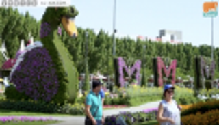 "العين الإخبارية" تأخذكم لجولة في "ميراكل جاردن دبي" بموسمها الجديد