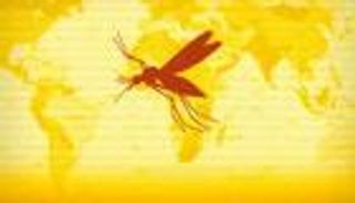 وفاة 10 في إثيوبيا بالحمى الصفراء ومنظمة الصحة تنقل 1.45 مليون لقاح