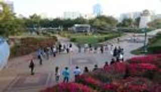 "دروب الطوايا" عروض أدائية تجمع الفن بالتكنولوجيا في أبوظبي