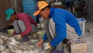 نقص العمالة يفتح الباب أمام استقبال المهاجرين - أرشيفية