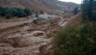 ارتفاع عدد ضحايا سيول الأردن إلى ١١