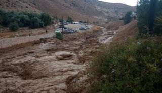 ارتفاع عدد ضحايا سيول الأردن إلى ١١